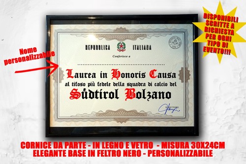 Laurea quadro tifoso calcio